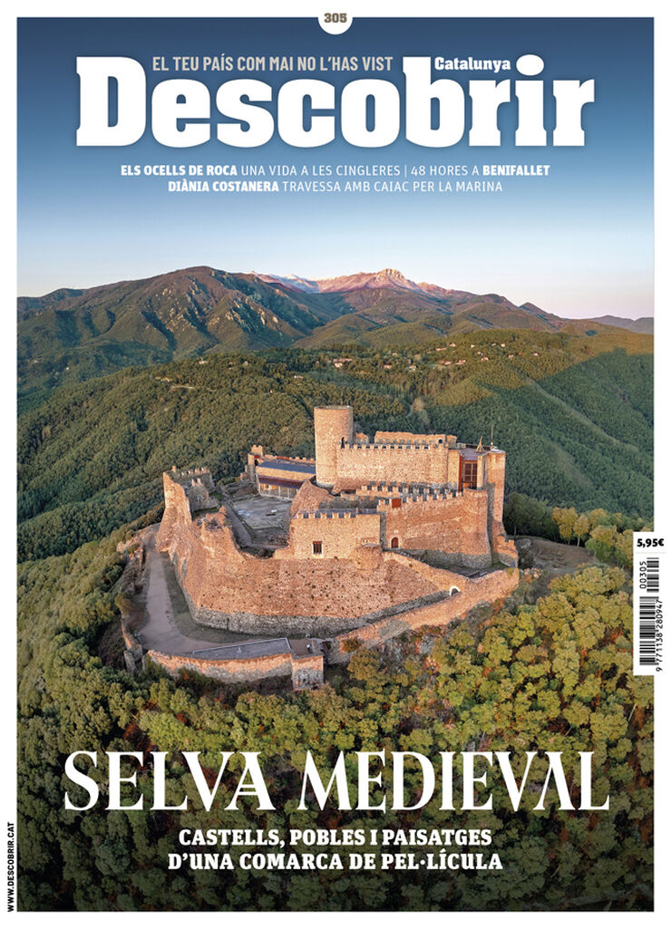 Descobrir 305 – Selva medieval