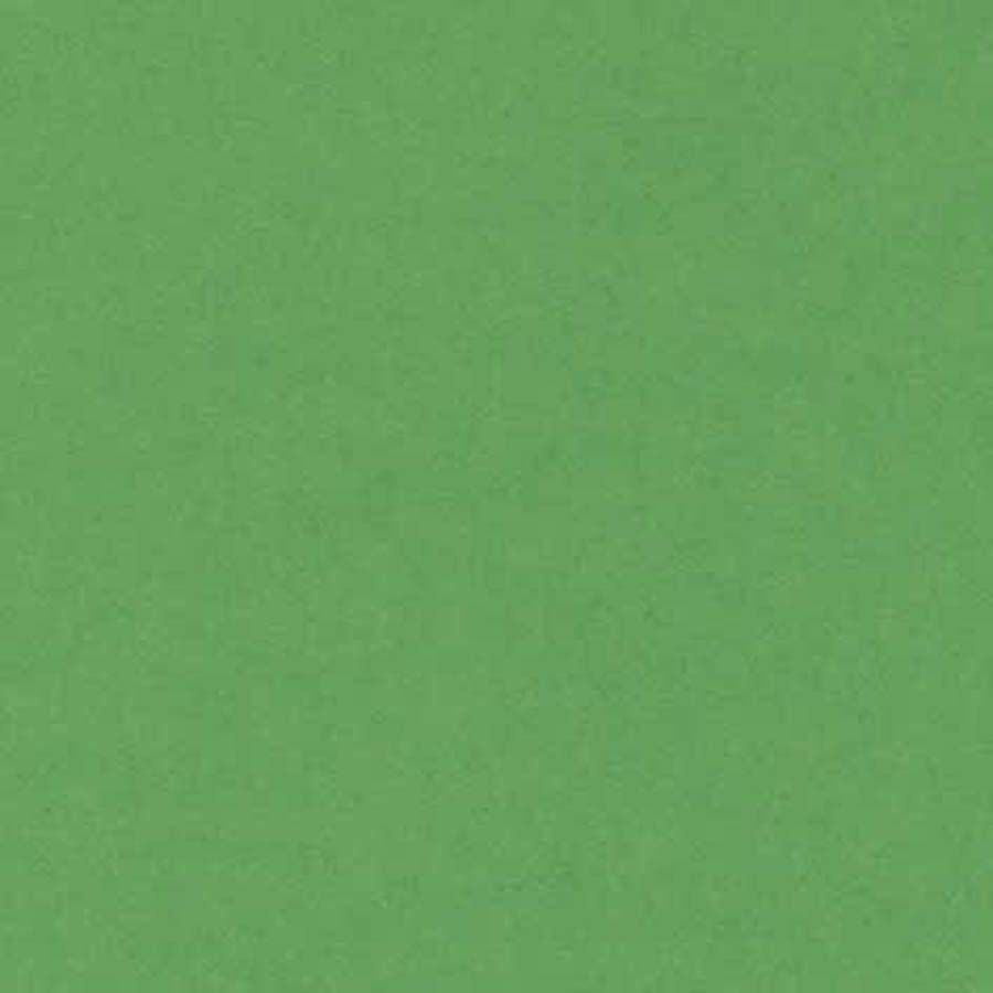 Cartolina Iris A4 240g verd Billar 50F