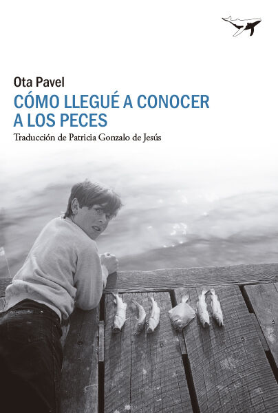 Como llegu&eacute; a conocer a los peces