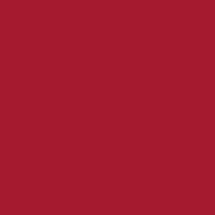 Cricut Xtra Vinilo Smart Iron-On 24x61cm rojo