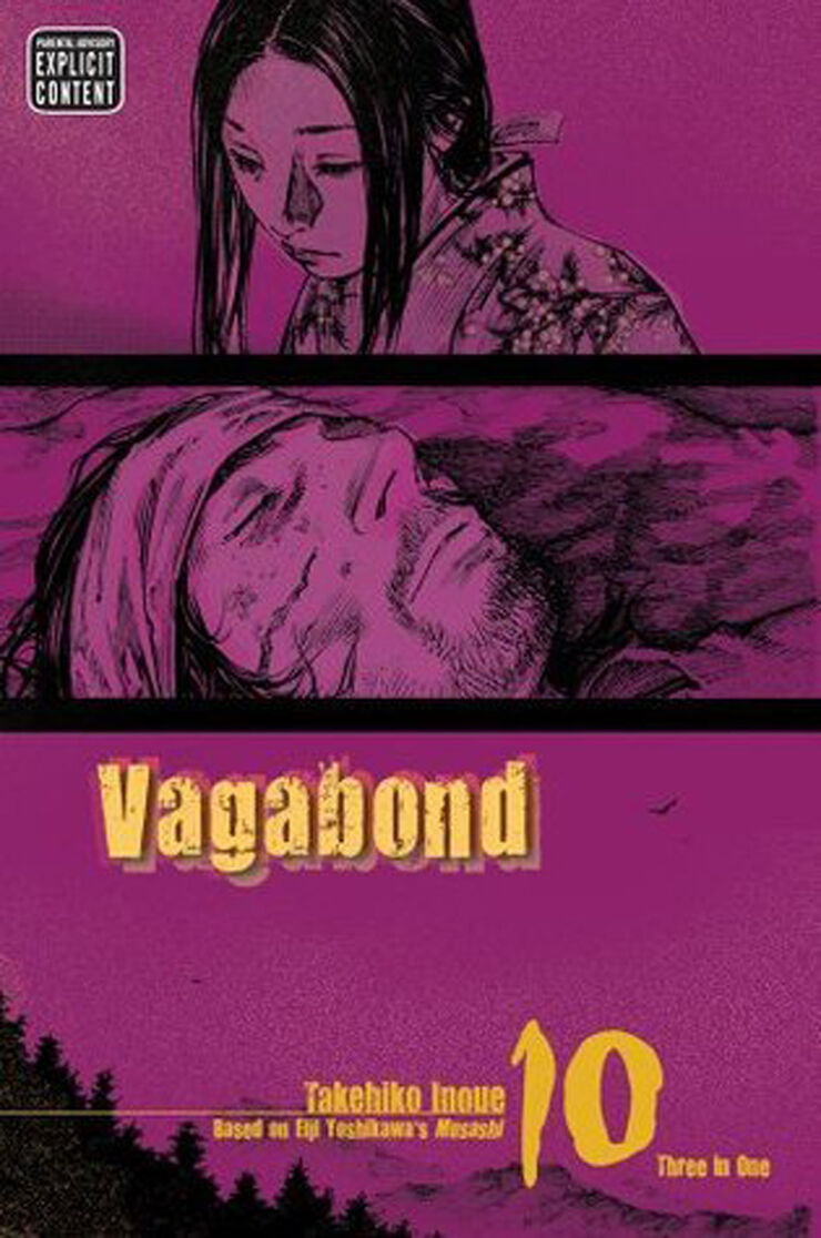 Vagabond 10