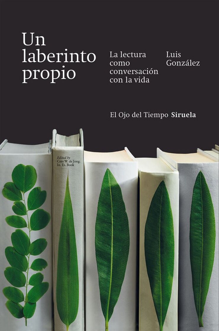 Un laberinto propio