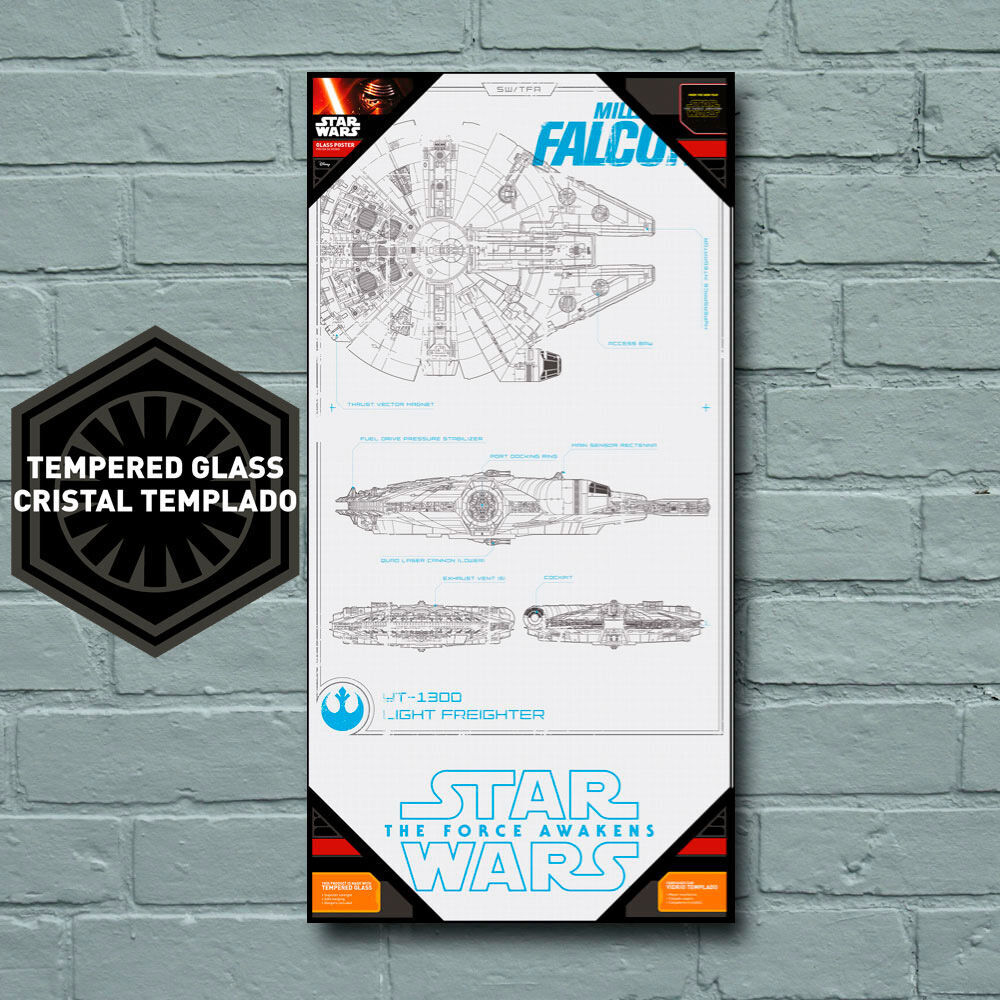 Halc&oacute;n Milenario Planos Vidrio Sw 30X60