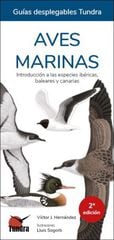 Aves Marinas Aves Marinas