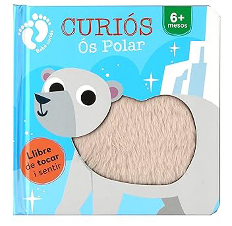 Curiós Ós Polar