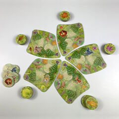 Juego Atomo Games Ardillas del bosque