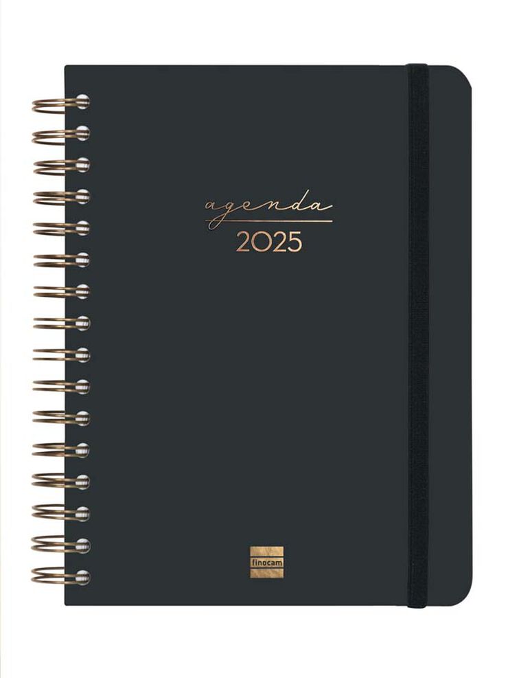 Agenda Finocam Alma E10 dia/pàg cat 2025 negre