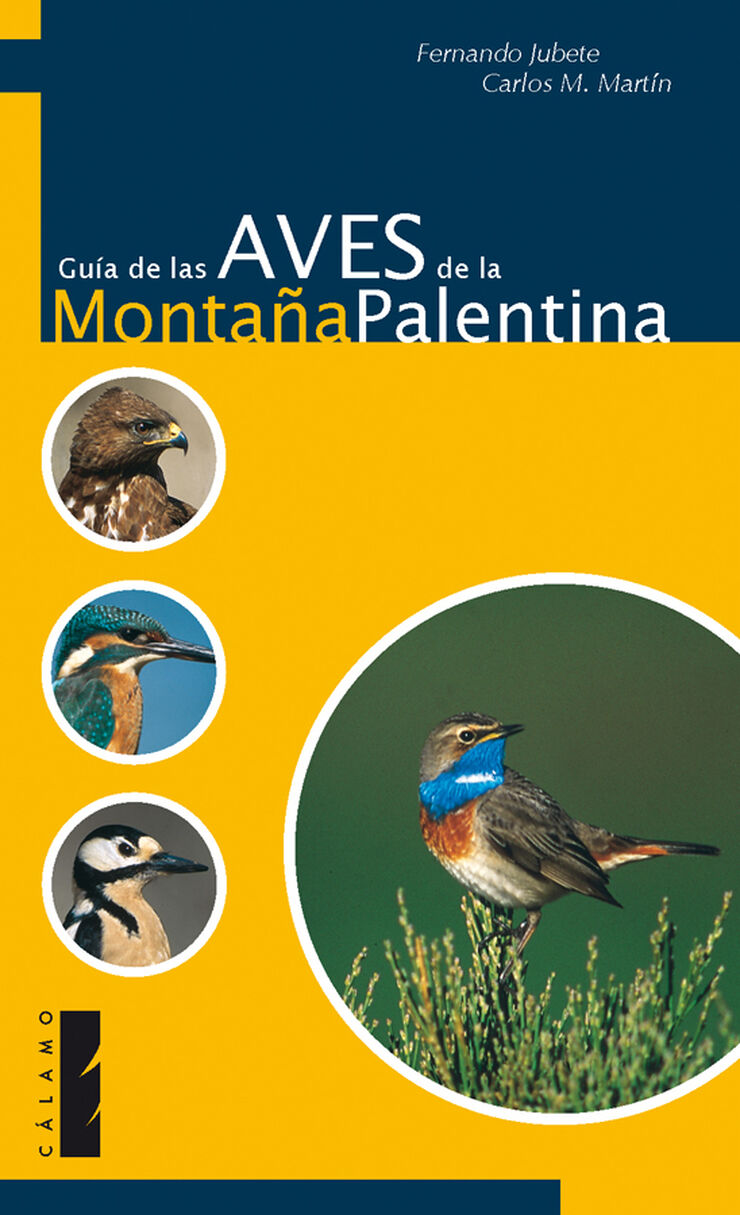 Guía de las aves de la montaña palentina