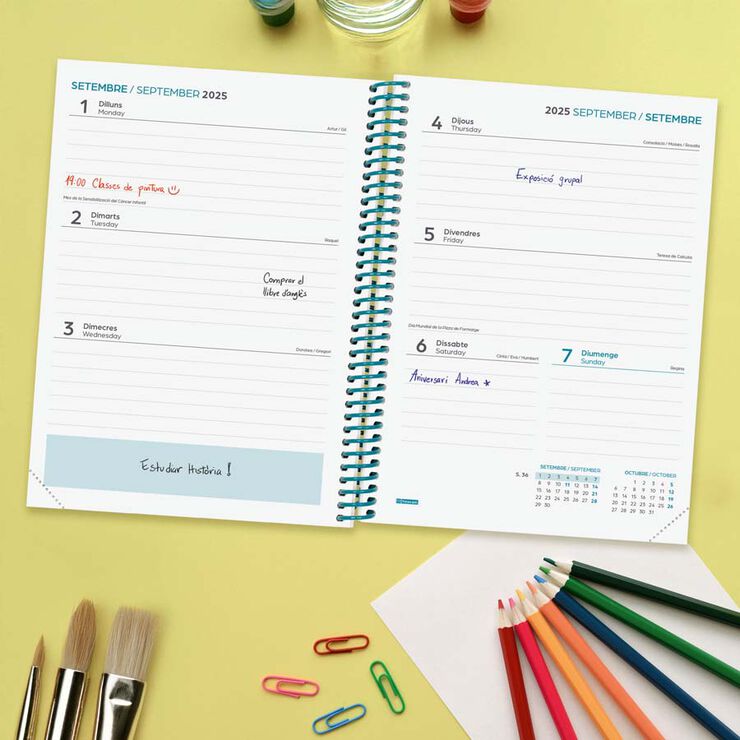 Agenda Finocam escolar Diva 1/4 sem/vista cat 2025-26 colors