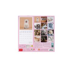 Calendario pared Legami 18X18 2024 Kittens