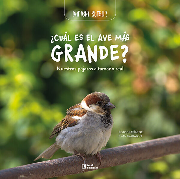&iquest;Cu&aacute;l es el ave m&aacute;s grande?