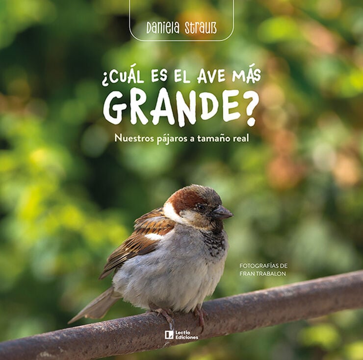 &iquest;Cu&aacute;l es el ave m&aacute;s grande?