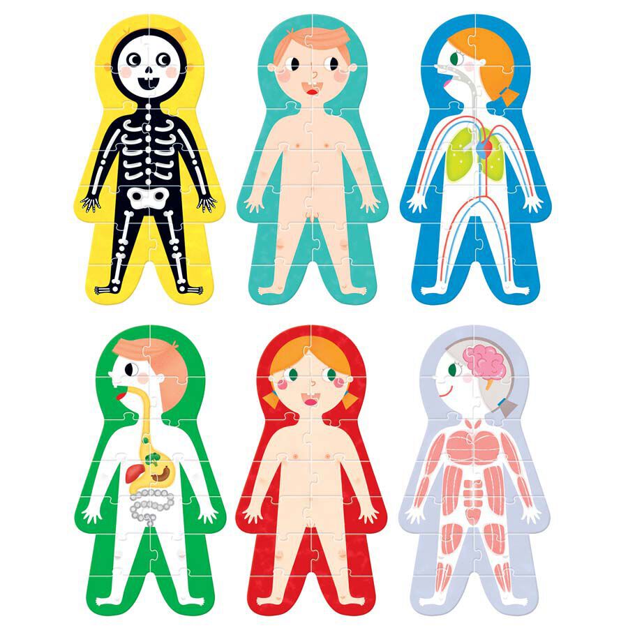 Puzzle My Body