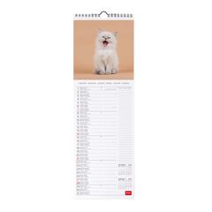 Calendario pared Legami 16X49 2024 Kittens
