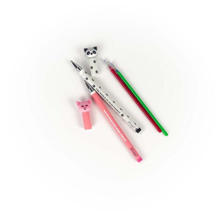 Recanvi Bolígrafs esborrables Mr.Wonderful Porquet 2u