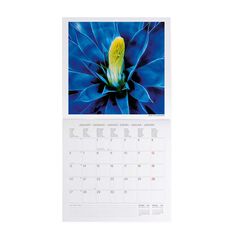 Calendario Pared Legami m/vista 2025 Succulents