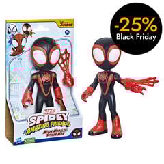 Spidey and His Amazing Friends Miles Morales