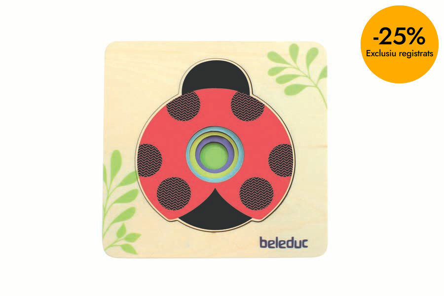 Encaix evolutiu marieta