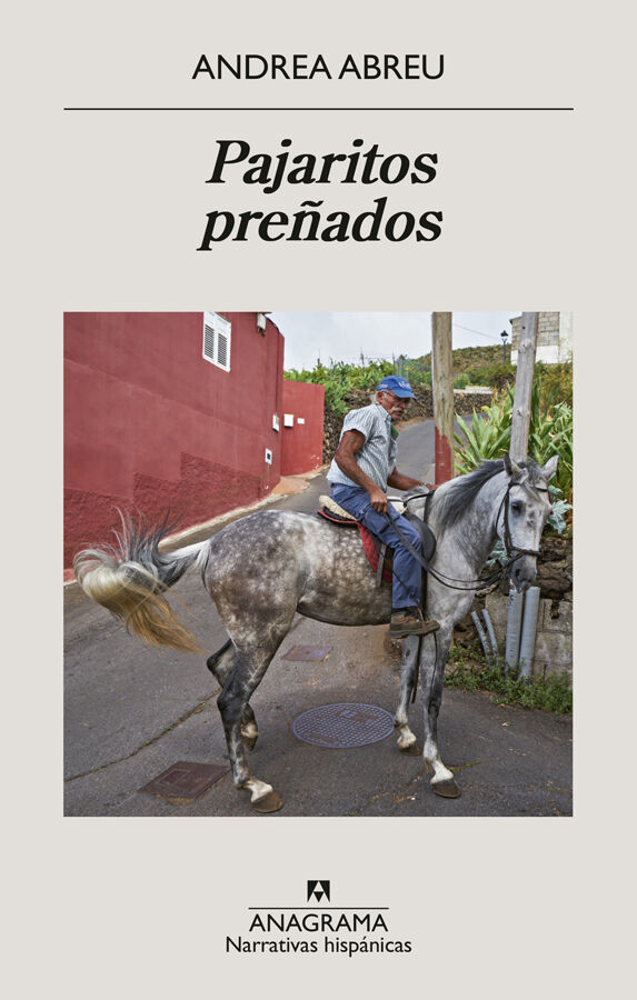 Pajaritos pre&ntilde;ados