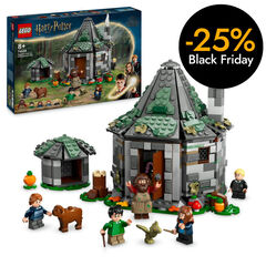 LEGO® Harry Potter TM Cabaña de Hagrid: Una Visita Inesperada 76428