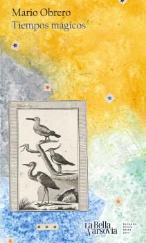 Tiempos m&aacute;gicos