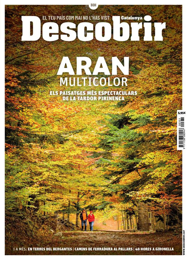 Descobrir 331 - Aran multicolor