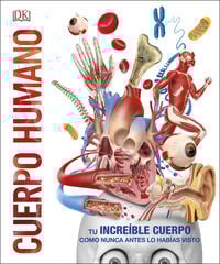 Cuerpo humano Cuerpo humano