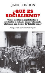 &iquest;Qu&eacute; es socialismo?