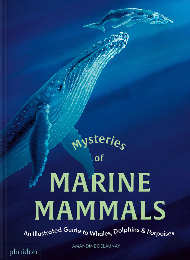 Mysteries of marine mammals