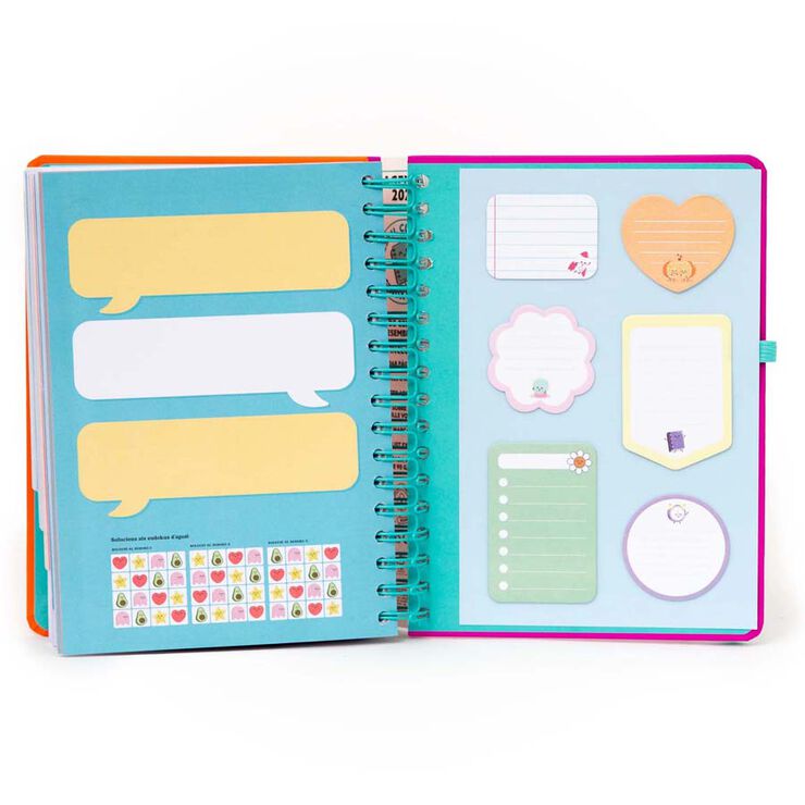 Agenda Mr.Wonderful día/pág 2026 cat Continua intentant