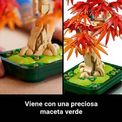 LEGO® Botanicals Bonsái de Arce Rojo Japonés 10348