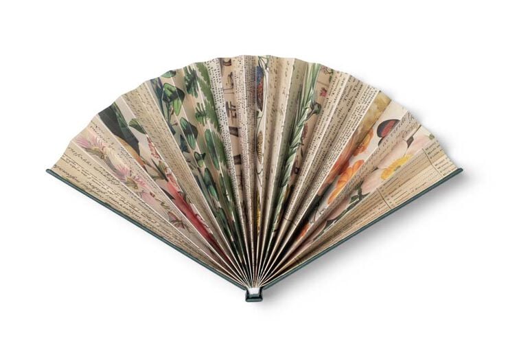 Ventall Catwalk Botanical