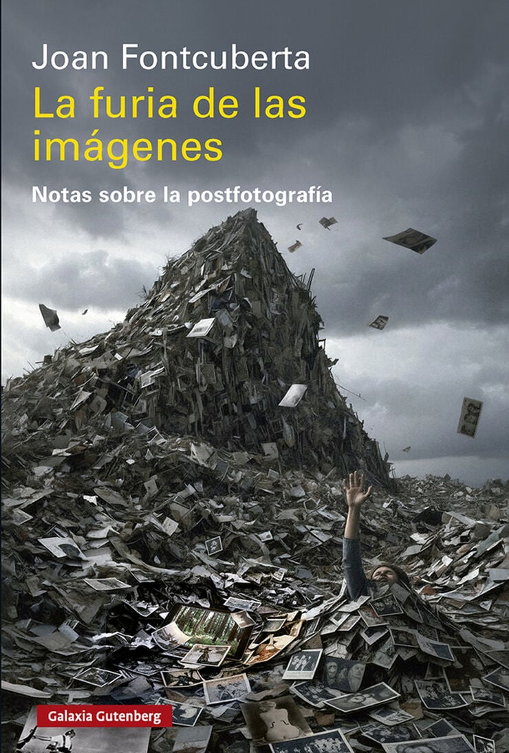 La furia de las im&aacute;genes2026