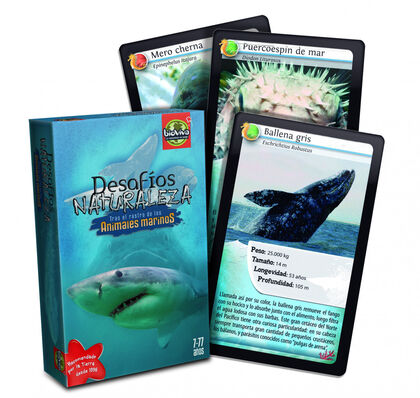 Desafíos Naturaleza Bioviva Animales marinos Desafíos Naturaleza Bioviva Animales marinos