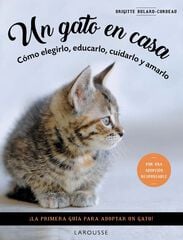 Un gato en casa Un gato en casa
