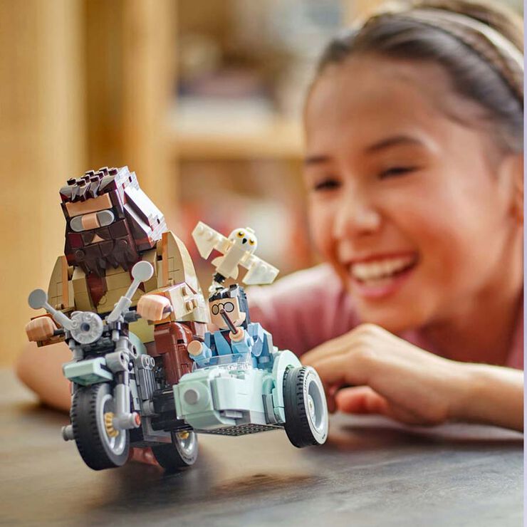 LEGO® Harry Potter TM Viaje en Moto de Hagrid™ y Harry 76443