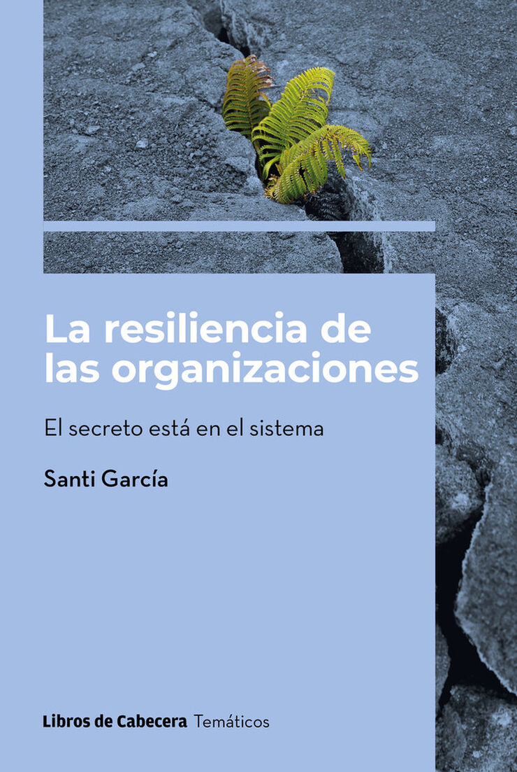 La resiliencia de las organizaciones