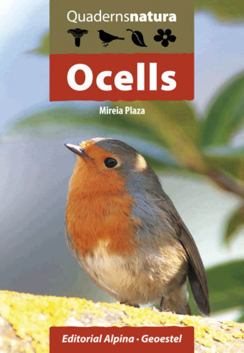 Ocells