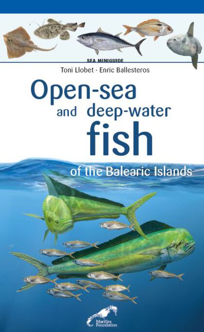 Open-Sea And Deep-Water Fish Of The Balearic Islands