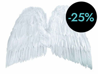 Ales Nowa Szkola Plomes