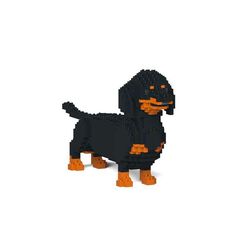 Jekca Perro Salchicha