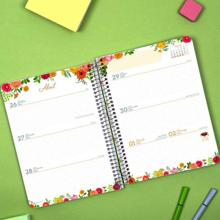 Agenda Finocam 16M Cloe E10 Sem/Vista Catal&aacute;n 2026-27 Verde