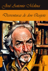 Desventuras de Don Quijote Desventuras de Don Quijote