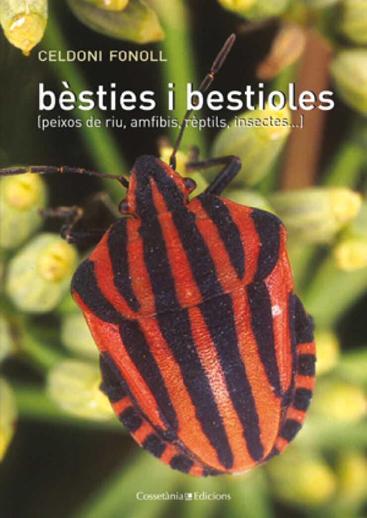 Bèsties i bestioles (peixos de riu, amfi