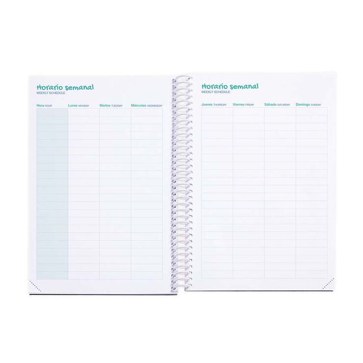 Agenda escolar Miquelrius Plus sem/vista cas 2025-26 Gamer