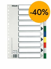 Separadores Esselte A4 PP 10 posiciones