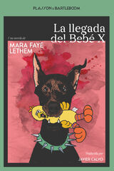 La llegada del Bebé X La llegada del Bebé X