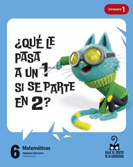 Proyecto: Viaje al centro de la curiosidad. Matem&aacute;ticas 6. Trimestres