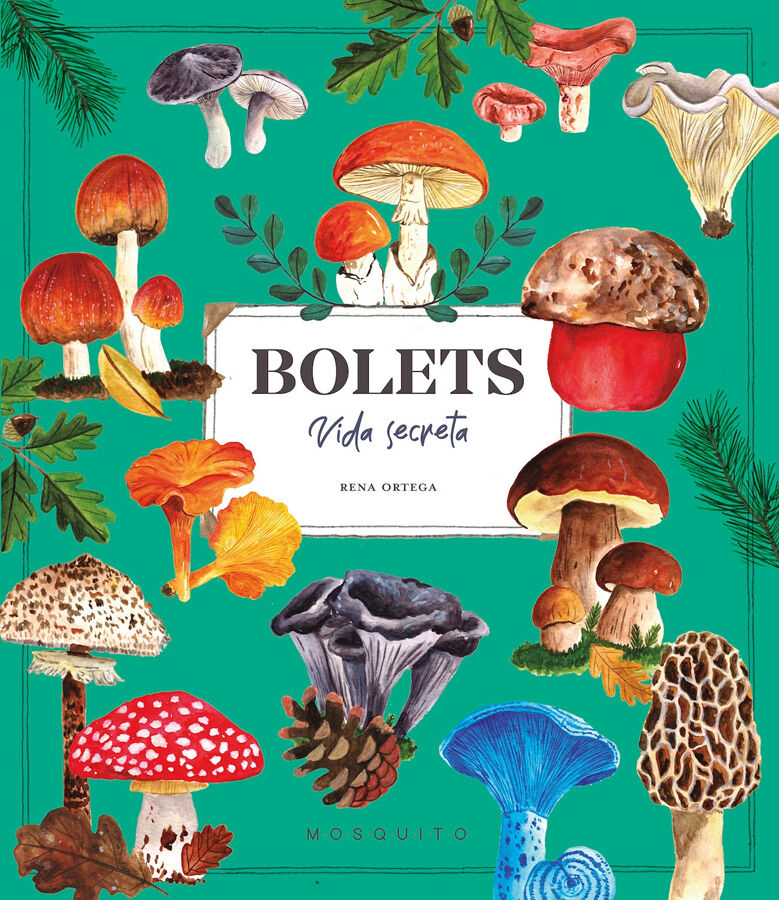 Bolets. Vida secreta