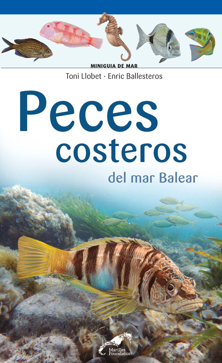 Peces Costeros Del Mar Balear